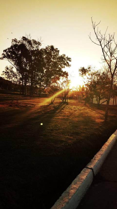 Sunshine