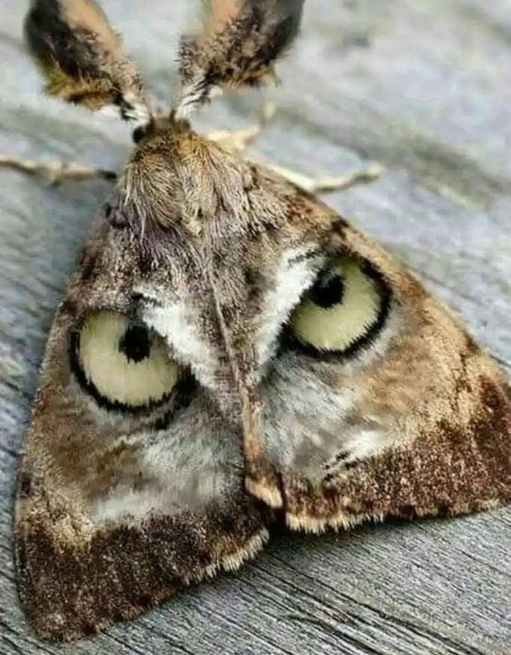 ❤❤❤