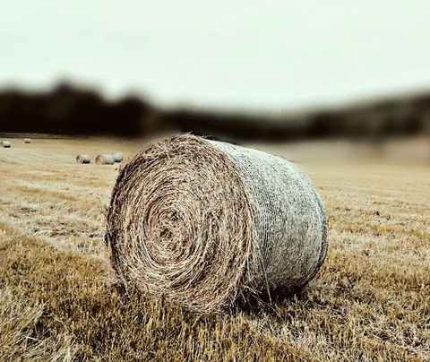 Straw bales