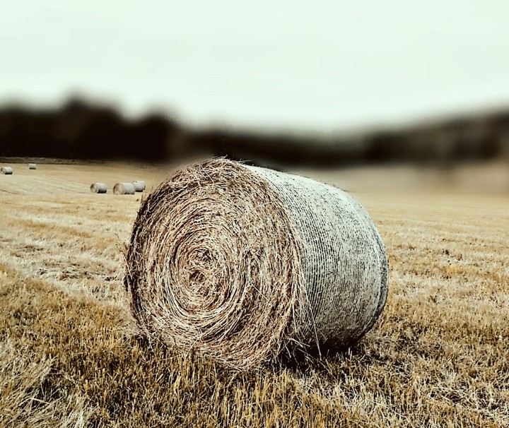 Straw bales