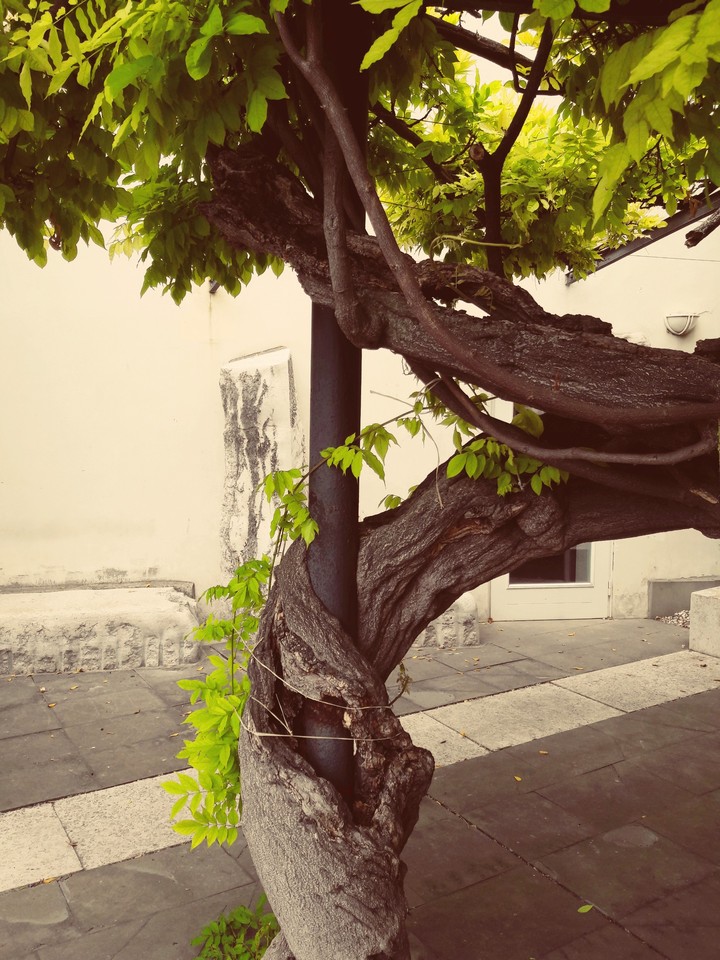 Nature