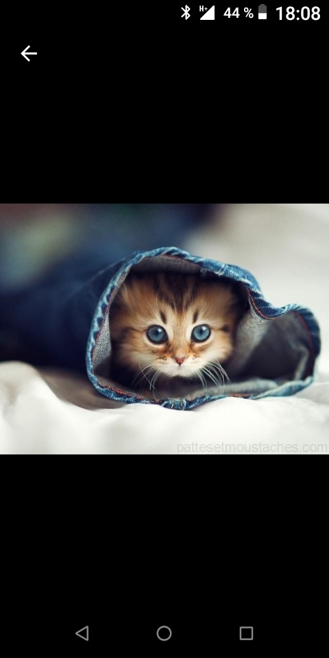 moment plaisir tros chou