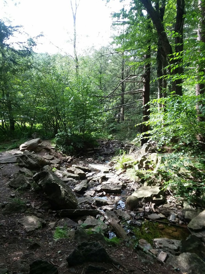empty creek