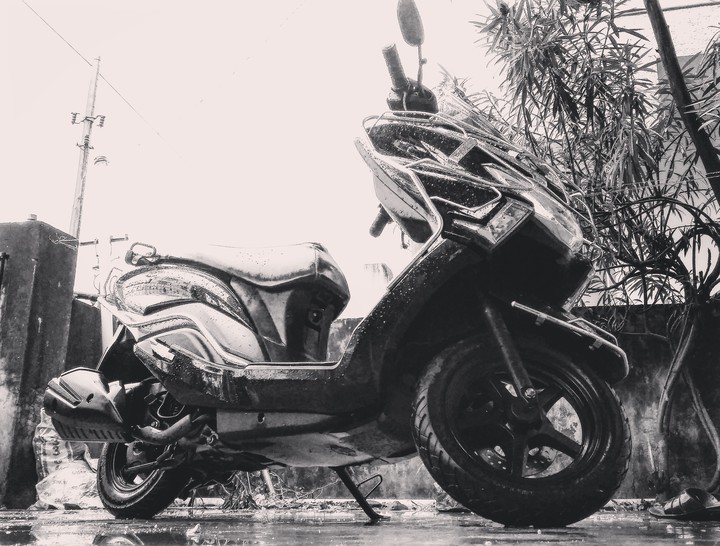 Burgman