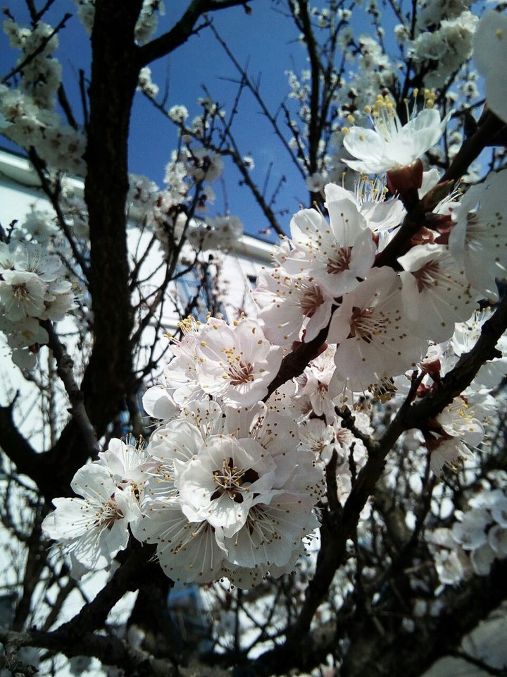 Spring ❤