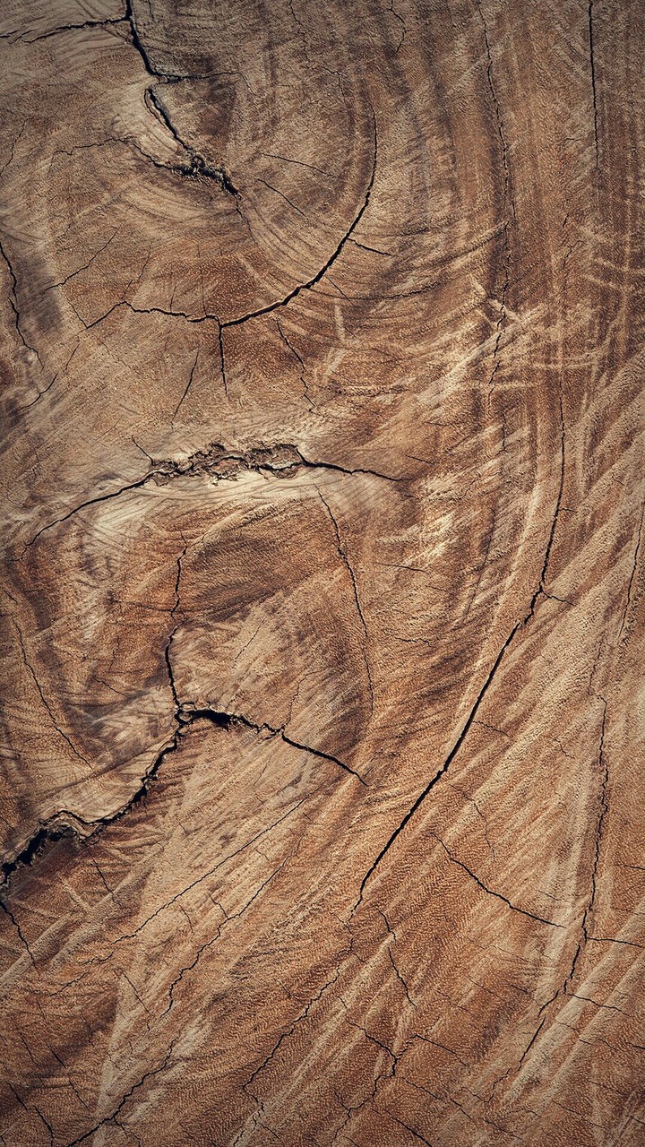 Wood for life.....