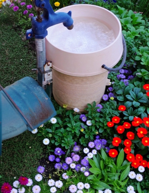 Bucket of water and flowers
