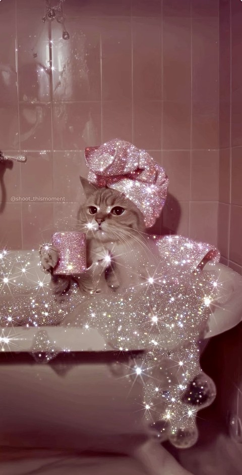 fur, cat वॉलपेपर