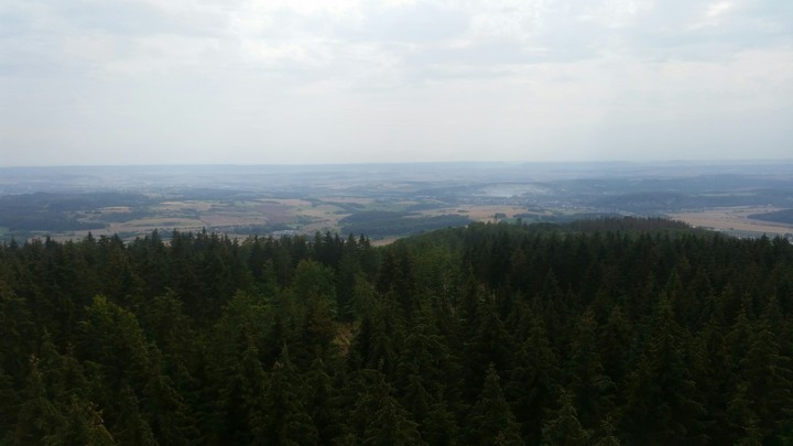 Der Harz