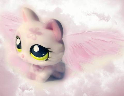 lps cat angel