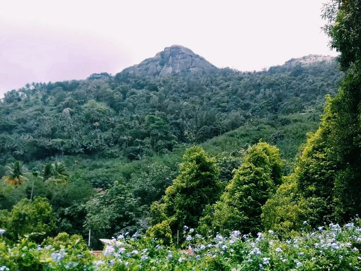 hilly