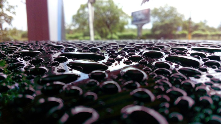 rain drops..