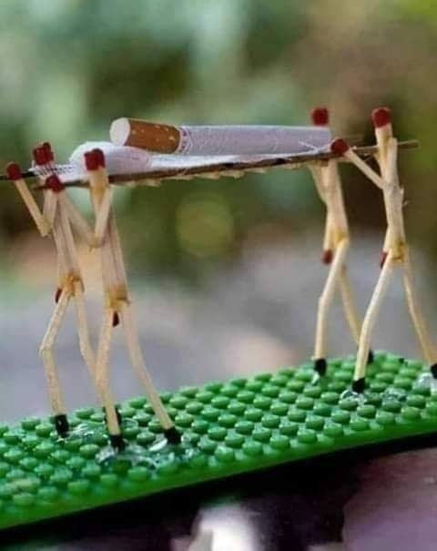 say No to drug