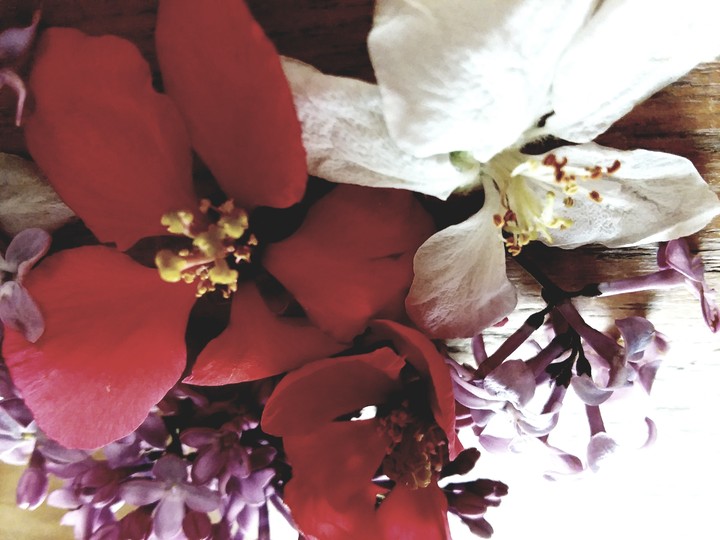 spring time