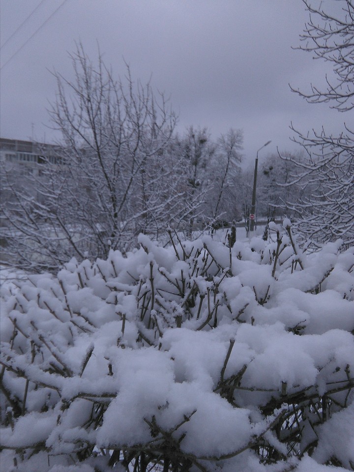 Magic winter