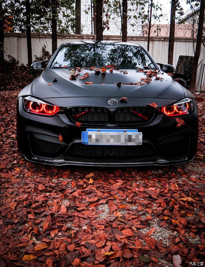 Bmw fall leaves