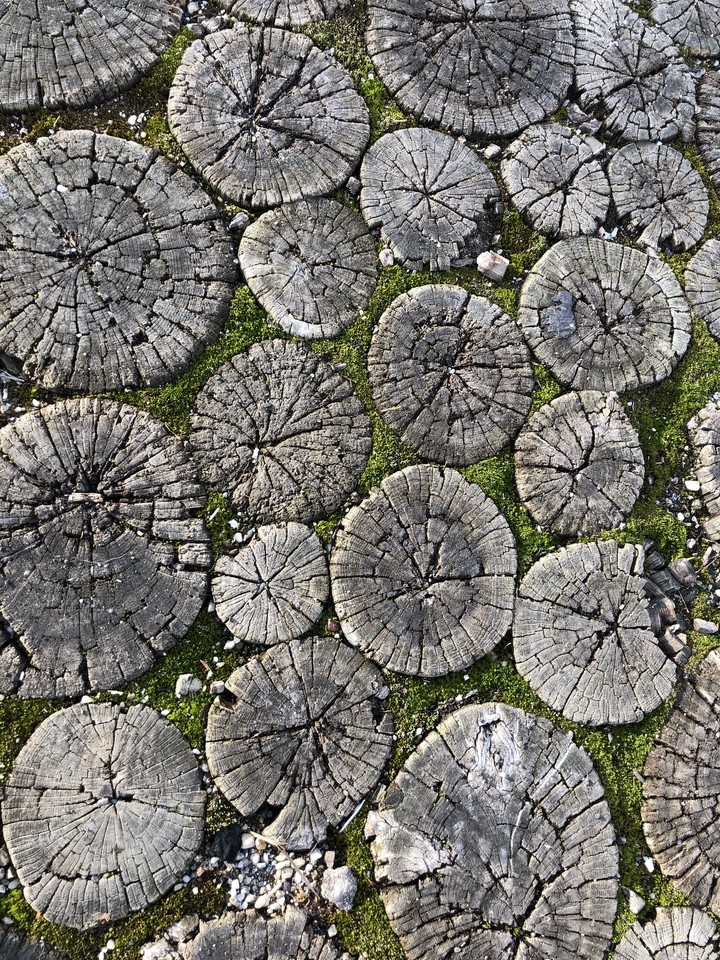 wood’s floor