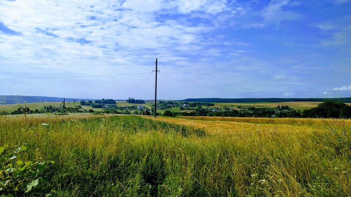 Nature