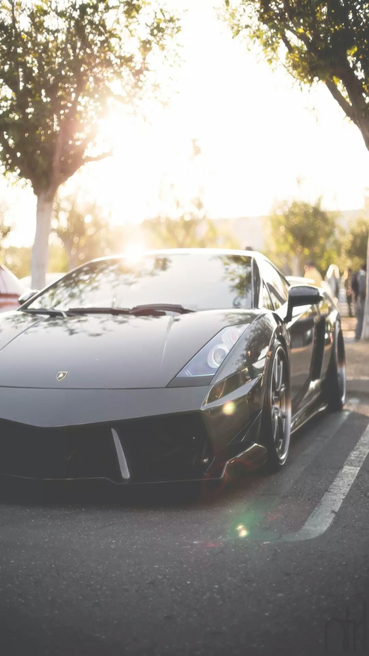 lambo
