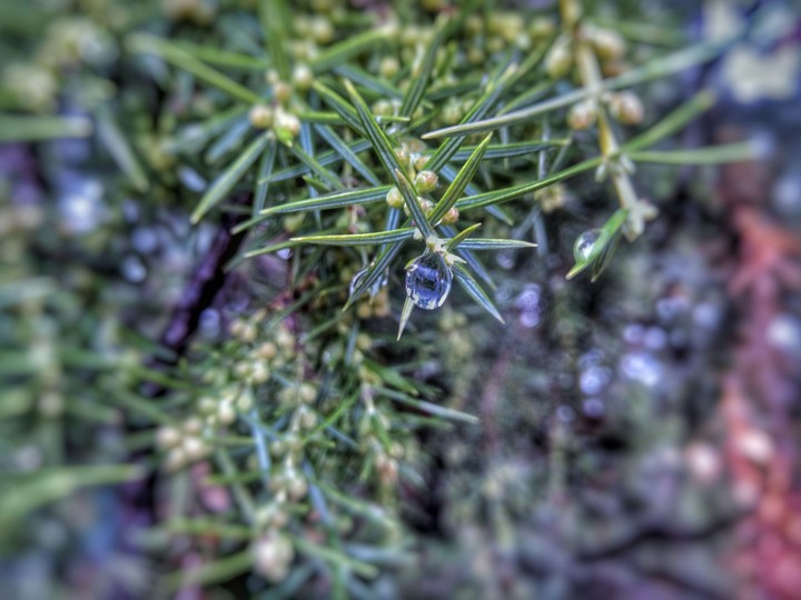 drop