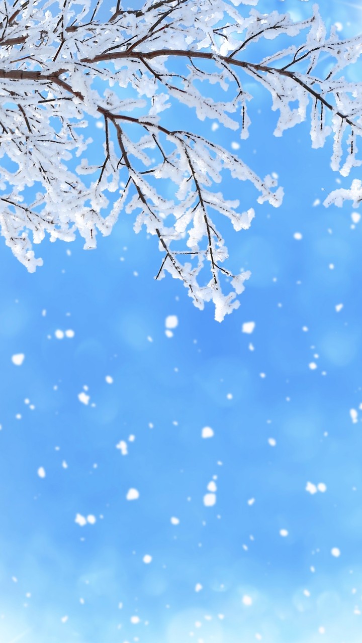 Snow ❄