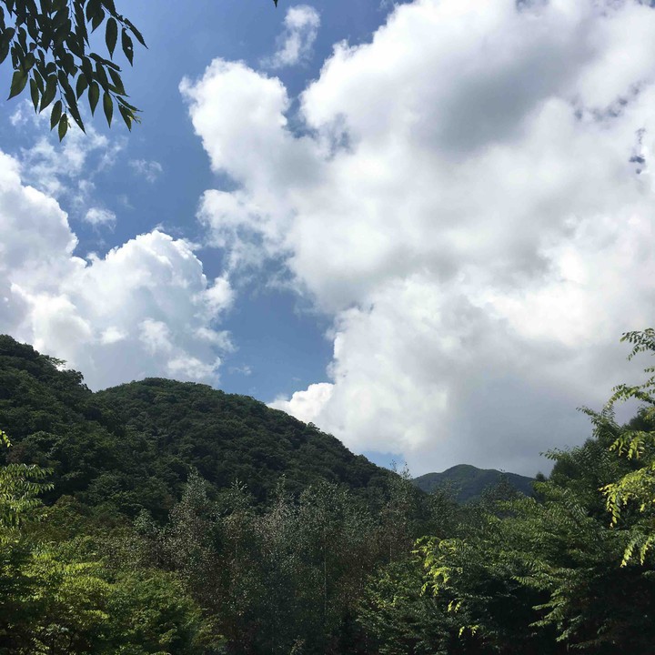 산