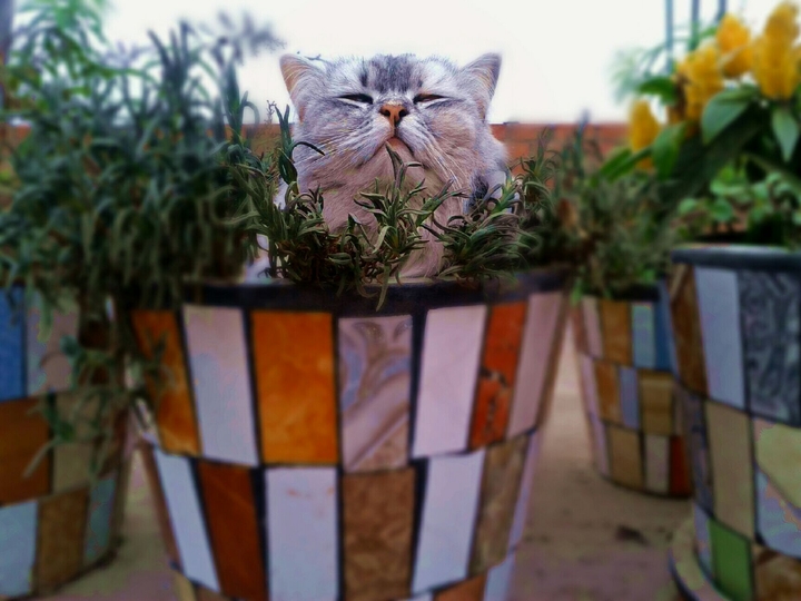 Just chilling.