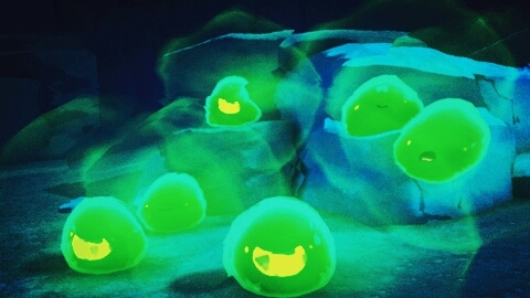 Slimes