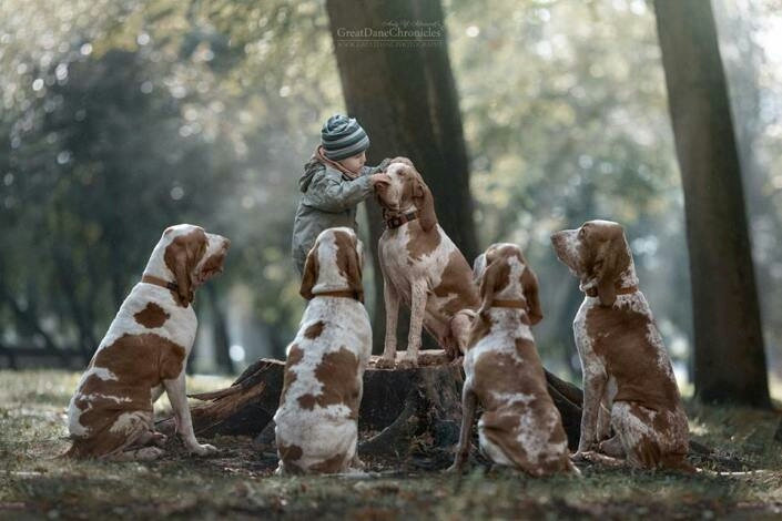 friends