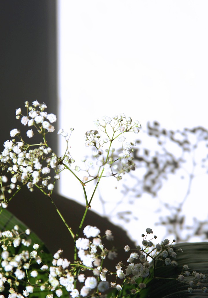 in iran we call this flowers :bride's flower
