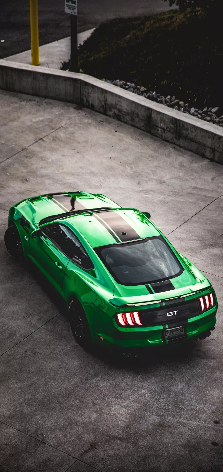Mustang