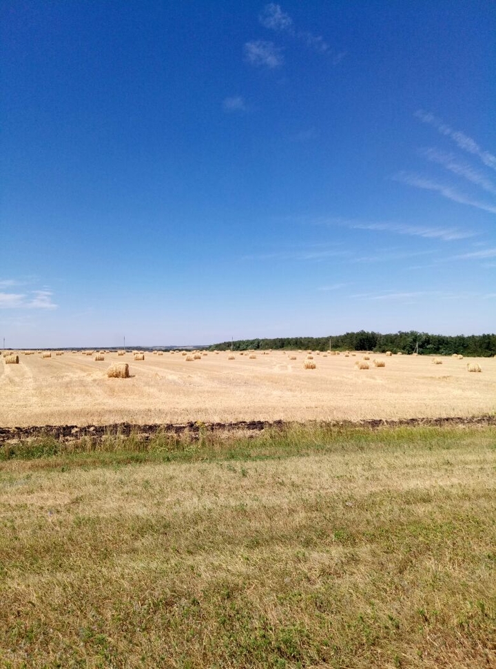 Краснодарский край