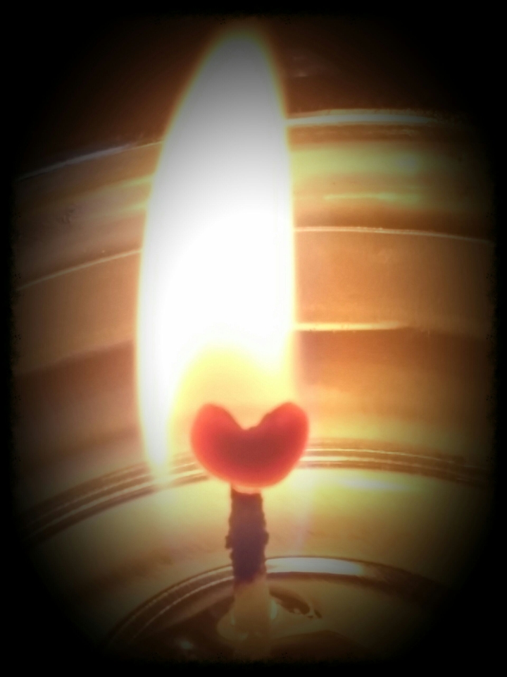 hart in vuur en vlam