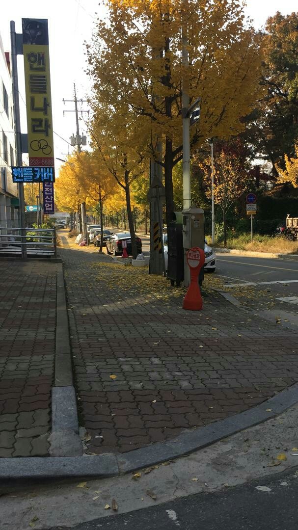 осень