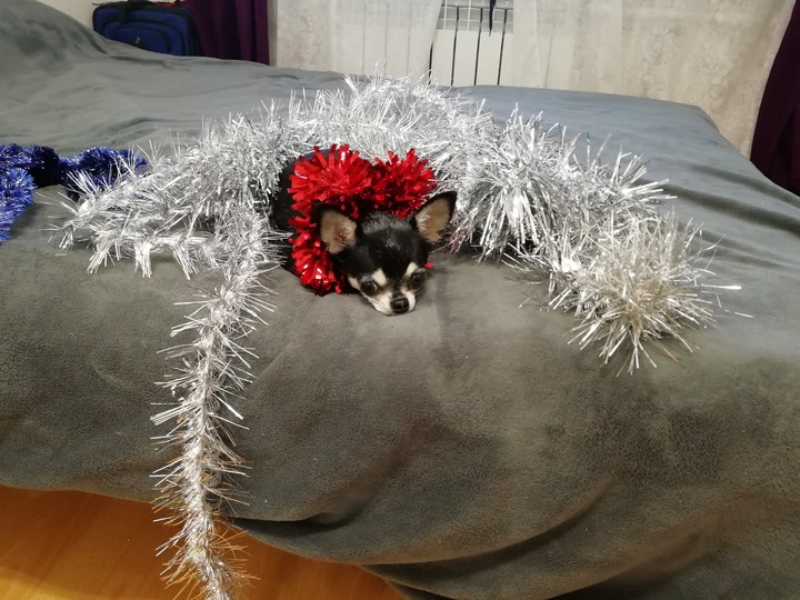 Боня