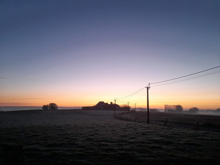 Morning in the campain