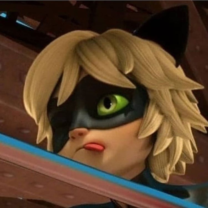 cat noir