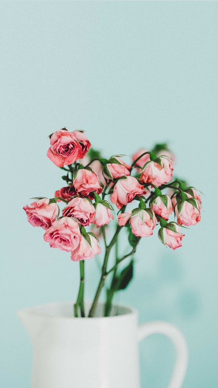 flores de abril