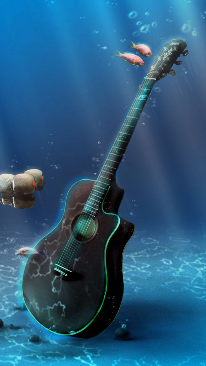 Guitar