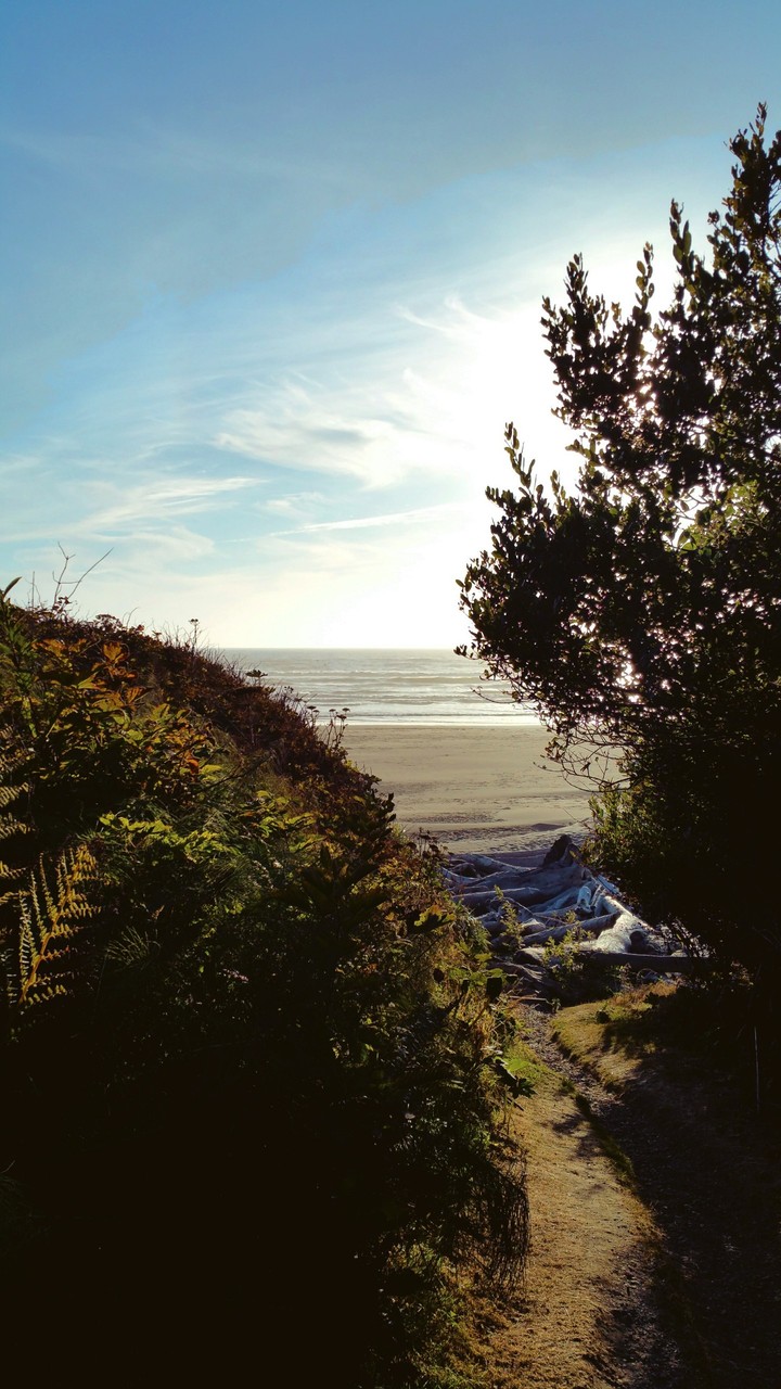 The Pacific ocean