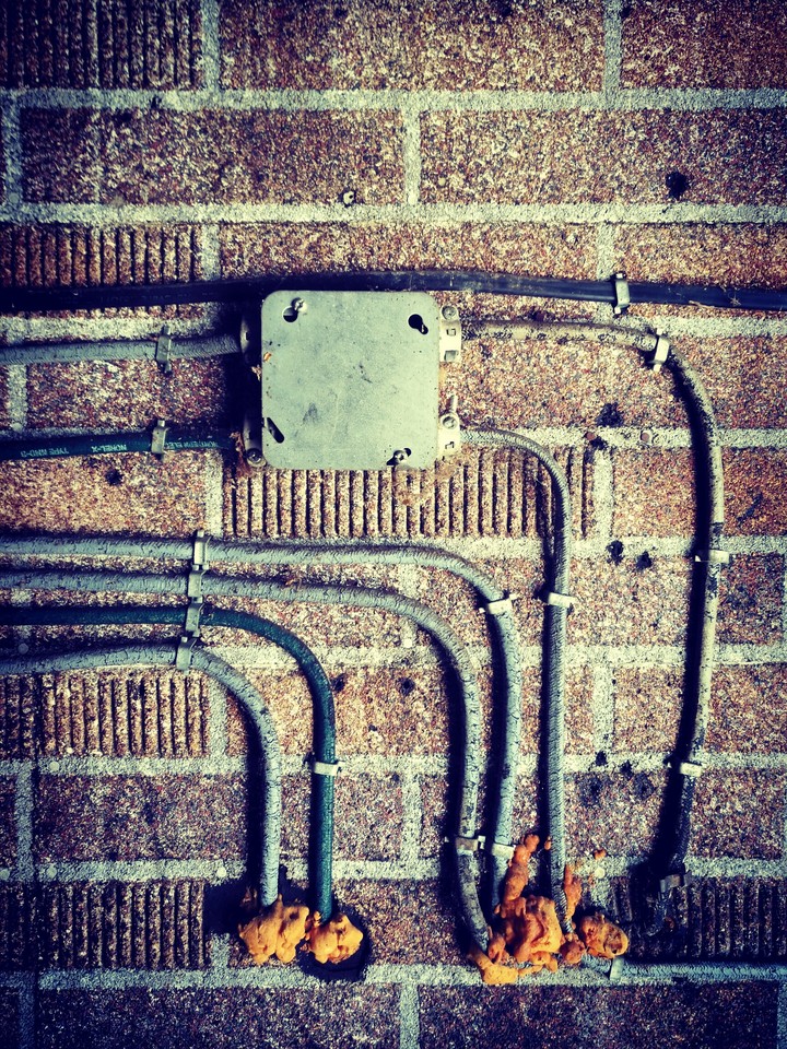 simple things can be amazing