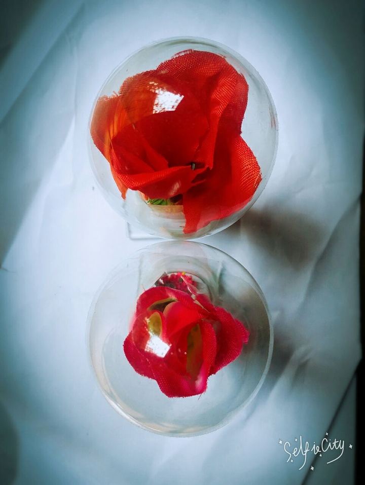 roses