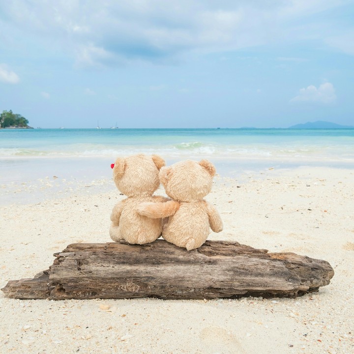 Teddy Bears