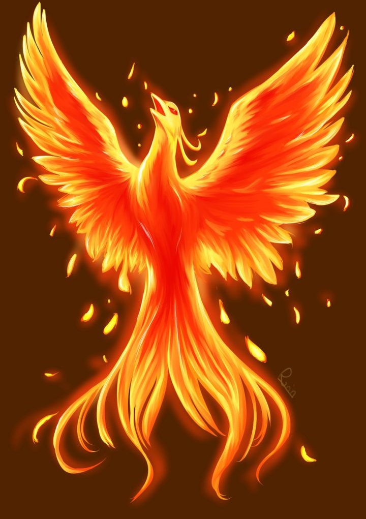 freedom and firebird phoenix
