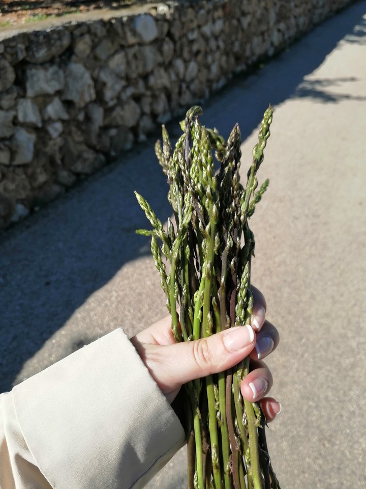 sprouts sparagus
