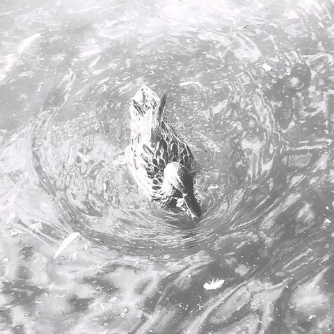 agua