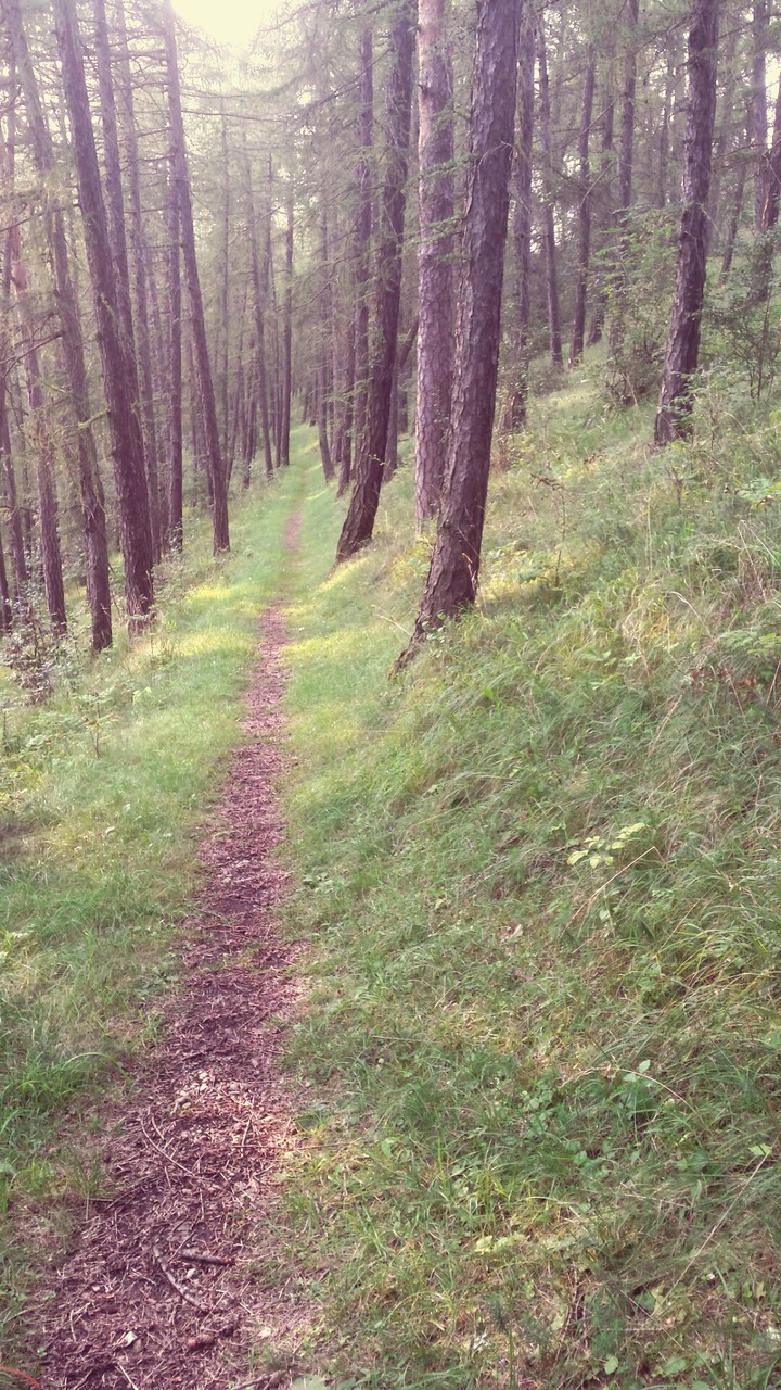 Crawinkel-Germany
