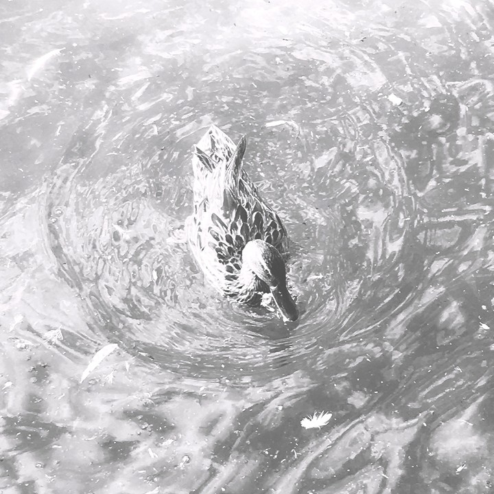 agua