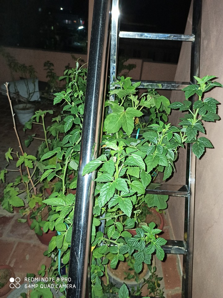 ??