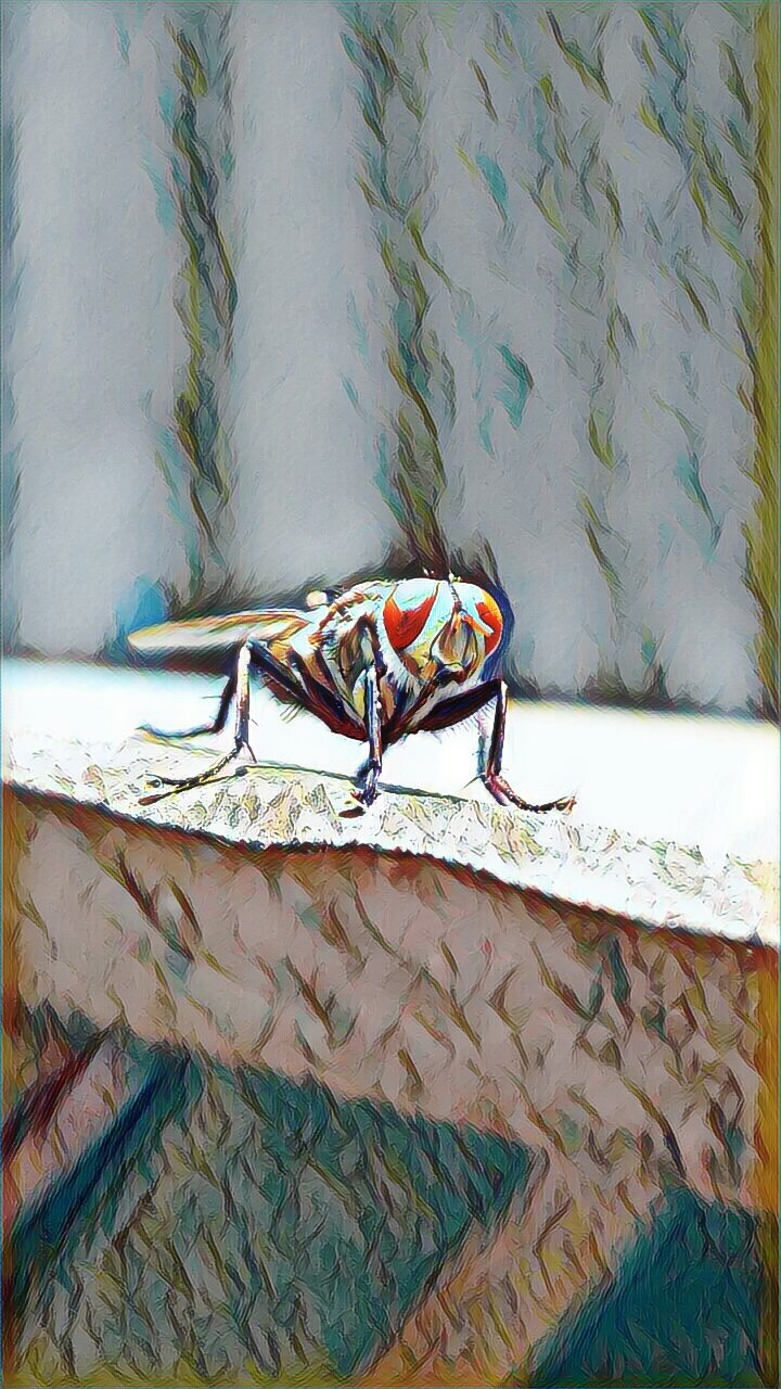 Edit